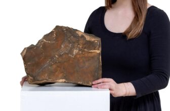 Someone paid $5.3 million for a piece of Mars