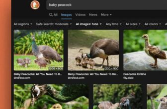 DuckDuckGo now allows you to filter out AI images in search results