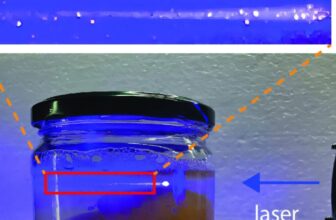 Edible Microlasers Could Revolutionize Food Tracking and Safety