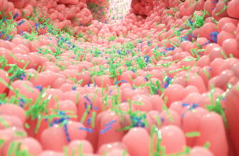 Newly Discovered Gut ‘Sense’ Could Change How We Think About Hunger and Health