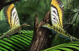 Adorable Triassic Reptile Used its Freaky Back Fin to Communicate