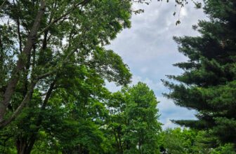 The Little Things Newsletter #474 – Life, laughter, and lots of great food!