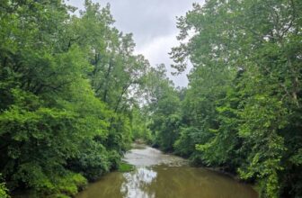 The Little Things Newsletter #480 – Life, laughter, and lots of great food!