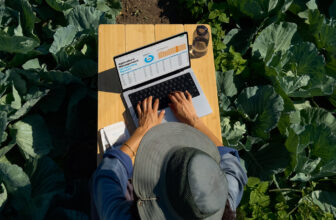 Apple Mac Sales Surge 15% In Q3 2025, Surpassing PCs