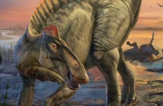 Rare Dinosaur ‘Mummies’ Show Their Features as We’ve Never Seen Them Before
